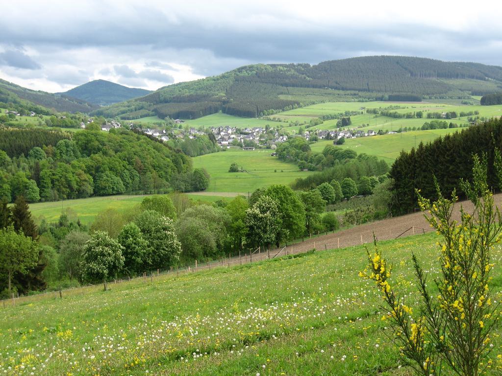 Ferienwohnung Moos-Hochsauerland Wiemeringhausen Phòng bức ảnh