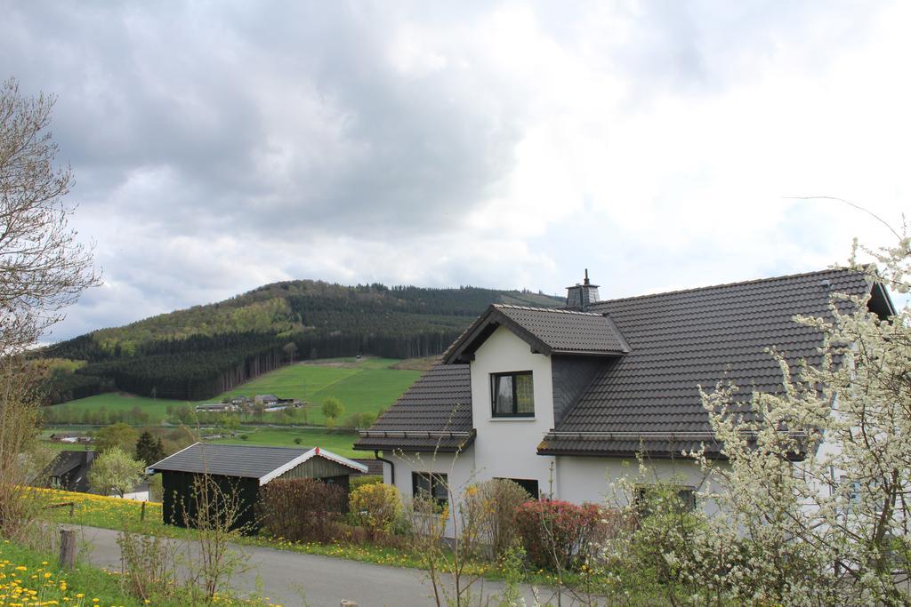 Ferienwohnung Moos-Hochsauerland Wiemeringhausen Phòng bức ảnh